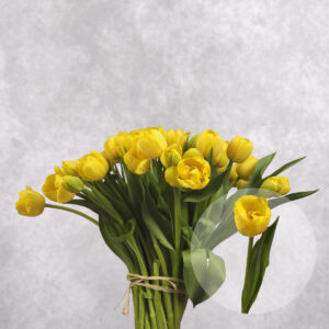 Yellow Tulips 10 stem bunches