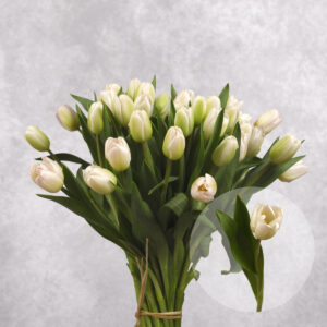 White Tulips 10 stem bunches