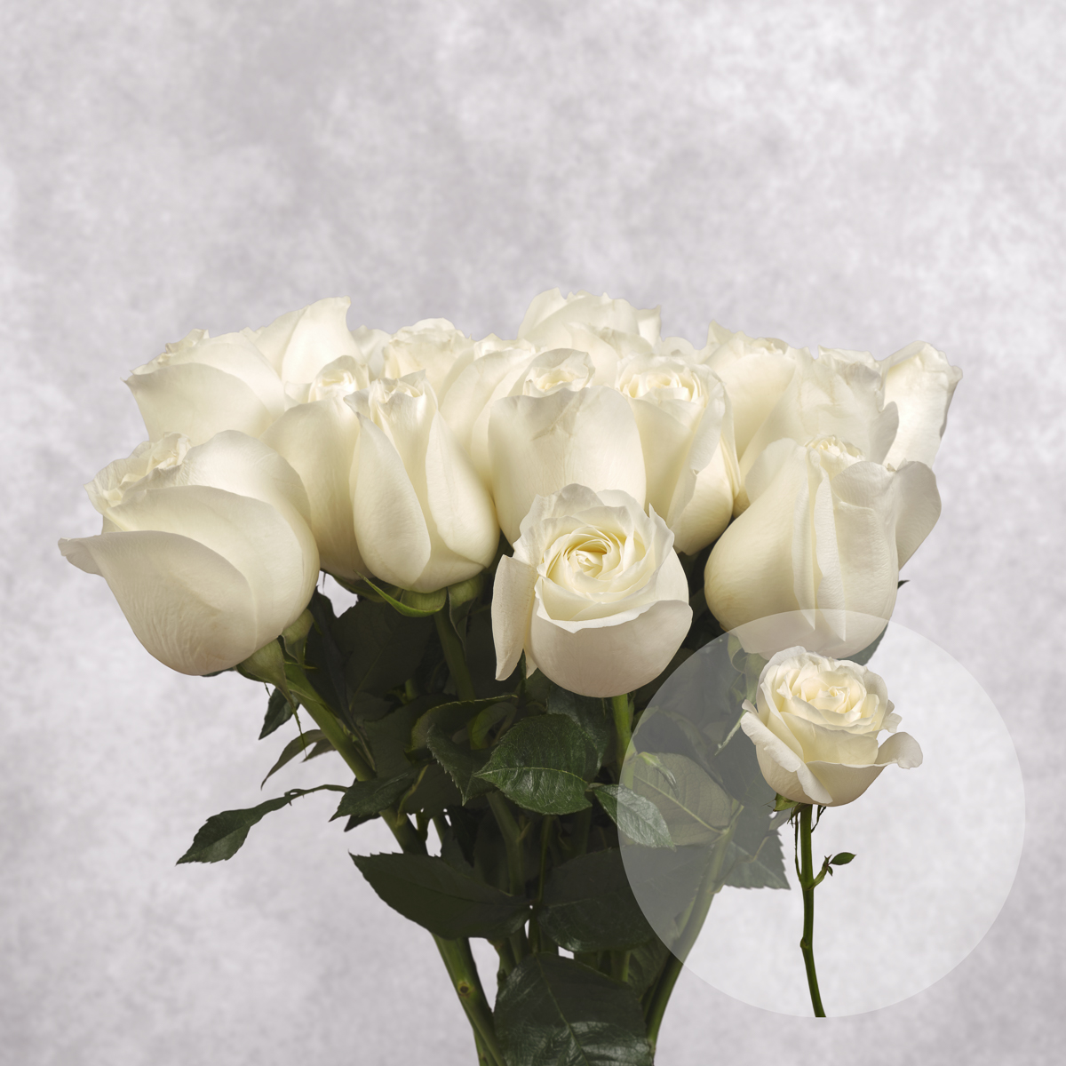 White Roses 6 stem bunches