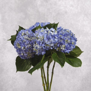 Dark Blue Hydrangea 1 stem