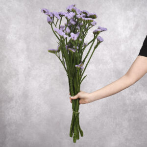 Lavender Statice 10 stem bunches
