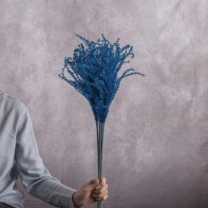 Dark Blue Cortaderia 5 stem bunch