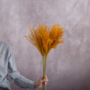 Orange Miscanthus 5 stem bunch