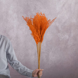 Orange Miscanthus 5 stem bunches