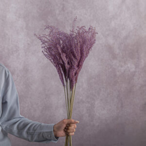 Lavender Miscanthus 5 stem bunches