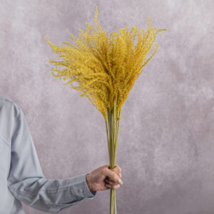 Yellow Miscanthus 5 stem bunches