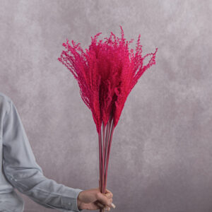 Hot Pink Miscanthus 5 stem bunches