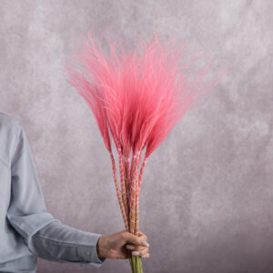 Pink Stipa 5 stem bunches