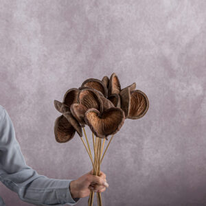 Brown Seed Pod 5 stem bunches