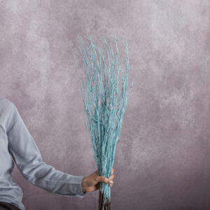 Light Blue Betula Branches 10 stem bunches