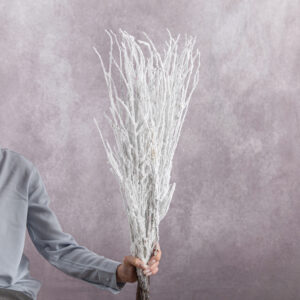 White Betula Branches 10 stem bunches