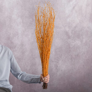 Orange Betula Branches 10 stem bunches