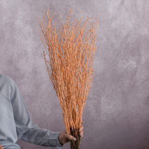 Salmon Betula Branches 10 stem bunches