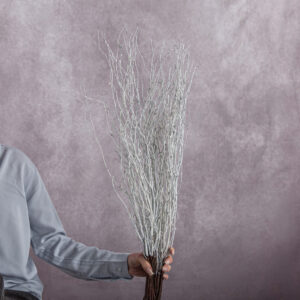 White Betula Branches 10 stem bunches