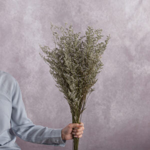 Dry Limonium 3 stem bunches
