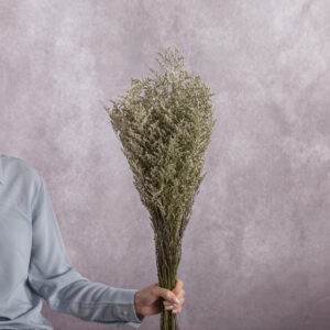 Dry White Limonium 3 stem bunches
