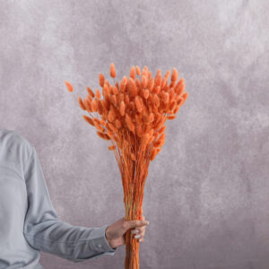 Salmon Lagurus bunches