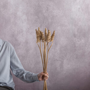 Brown Stick Cane Cone 5 stem bunches