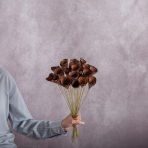 Brown Wood Cones 5 stem bunches