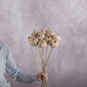 Pumpkins 5 stem bunches