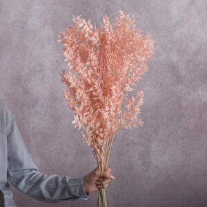 Light Pink Ruscus 5 stem bunches