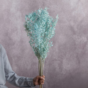 Light Blue Ruscus 5 stem bunches