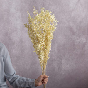 Cream Ruscus 5 stem bunches