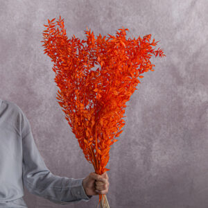 Orange Ruscus 5 stem bunches