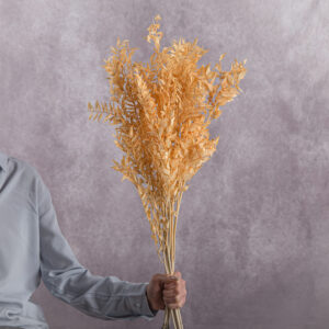 Cream Ruscus 5 stem bunches