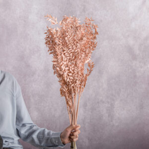 Peach Ruscus 5 stem bunches
