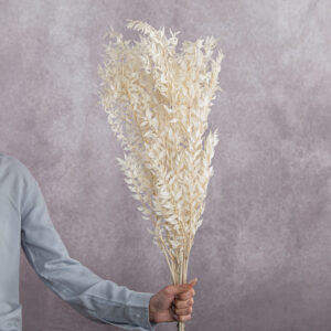 Cream Ruscus 5 stem bunches