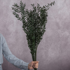 Dark Green Ruscus 5 stem bunches