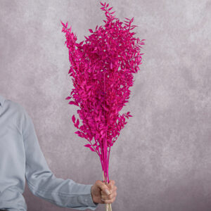 Hot Pink Ruscus 5 stem bunches
