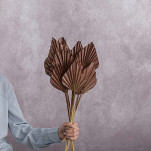 Brown Palm Dried Spear 5 stem bunches