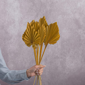 Yellow Palm Dried Spear 5 stem bunches