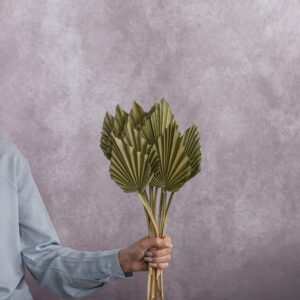 Green Palm Dried Spear 5 stem bunches
