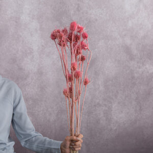 Pink Cardo 3 stem bunches