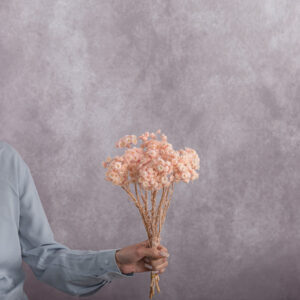 Pink Mimosa 5 stem bunches