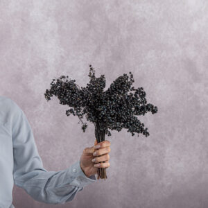 Black Schinus 5 stem bunches