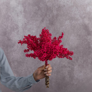 Hot Pink Schinus 5 stem bunches