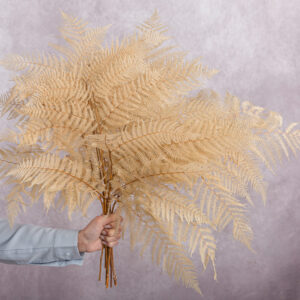Cream Bracken Fern 5 stem bunches