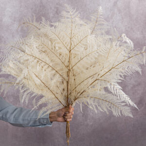 White Bracken Fern 5 stem bunches