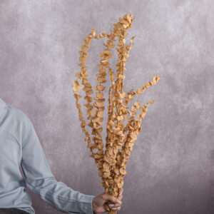 Peach Eucalyptus 5 stem bunches