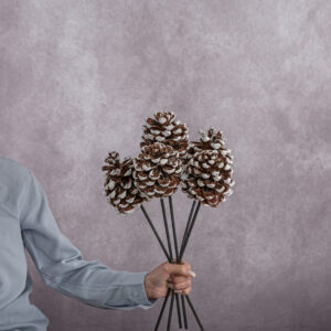 White Pine Cones 5 stem bunches