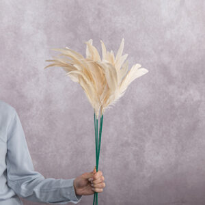 Cream Cocktail Feathers 6 stem bunches