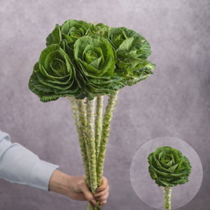 Green Brassica 5 stem bunches