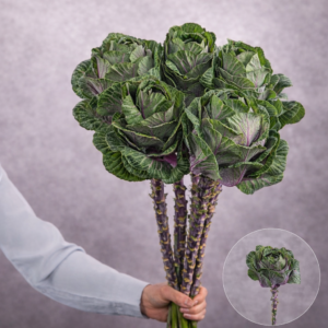 Green Brasssica 5 stem bunches