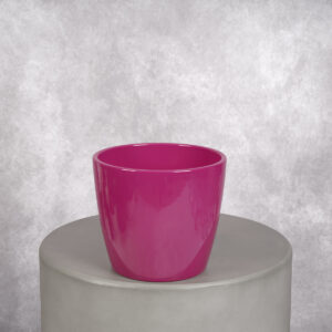 Hot Pink Ceramic Vase