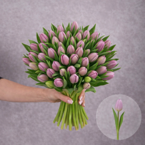 Tulips Lavender 10 stems per bunch