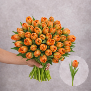 Tulips Orange Double 10 stems per bunch